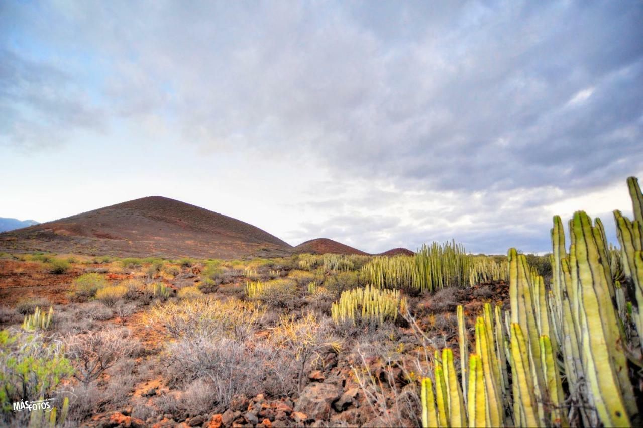Naturaleza Viva El Socorro Екстериор снимка
