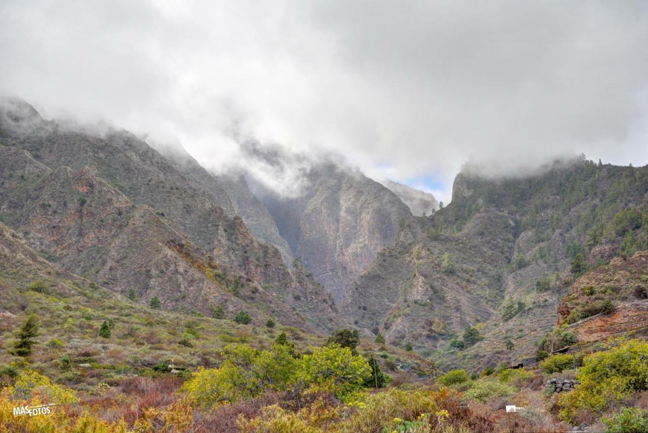 Naturaleza Viva El Socorro Екстериор снимка