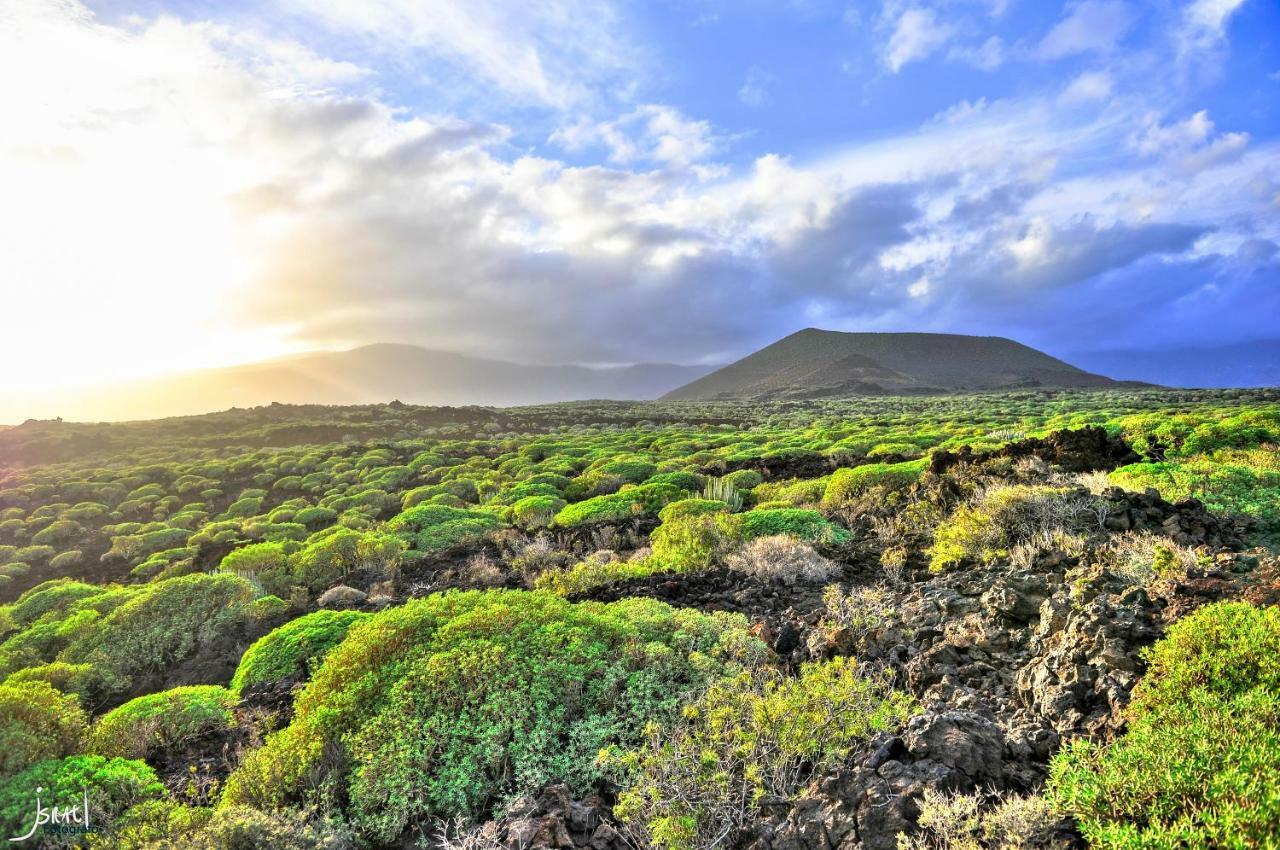 Naturaleza Viva El Socorro Екстериор снимка